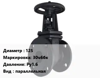 Задвижка чугунная 125 30ч6бк Ру1.6 параллельная